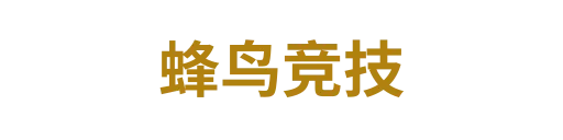 蜂鸟竞技